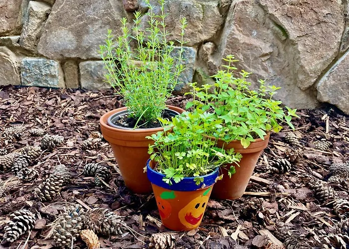 شقة Pod Kozakem فيلكه بوبوفيتشي